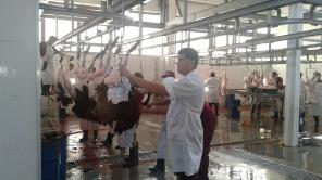 Продаю мясокомбинат в Кыргызстане