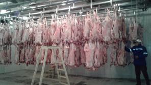 Продаю мясокомбинат в Кыргызстане